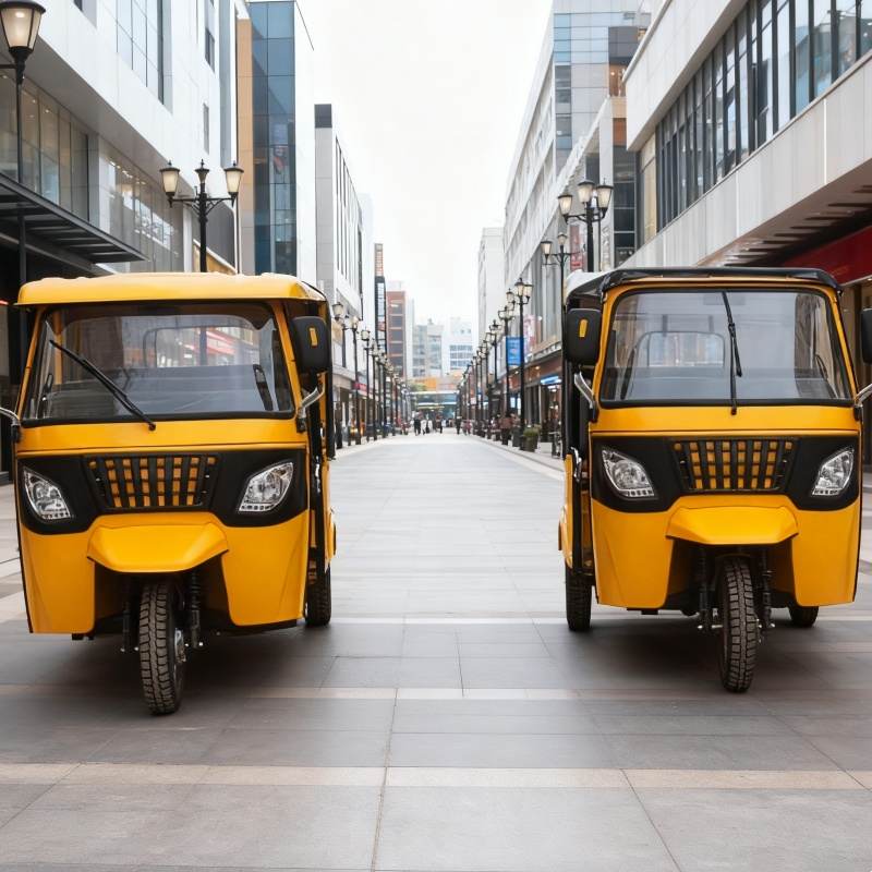 pousse-pousse électrique à trois roues