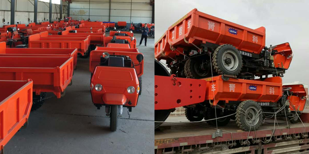 N'a pas peur des chocs et des secousses N'a pas peur des chocs et des secousses