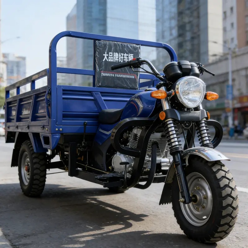 Prezzo del triciclo da carico