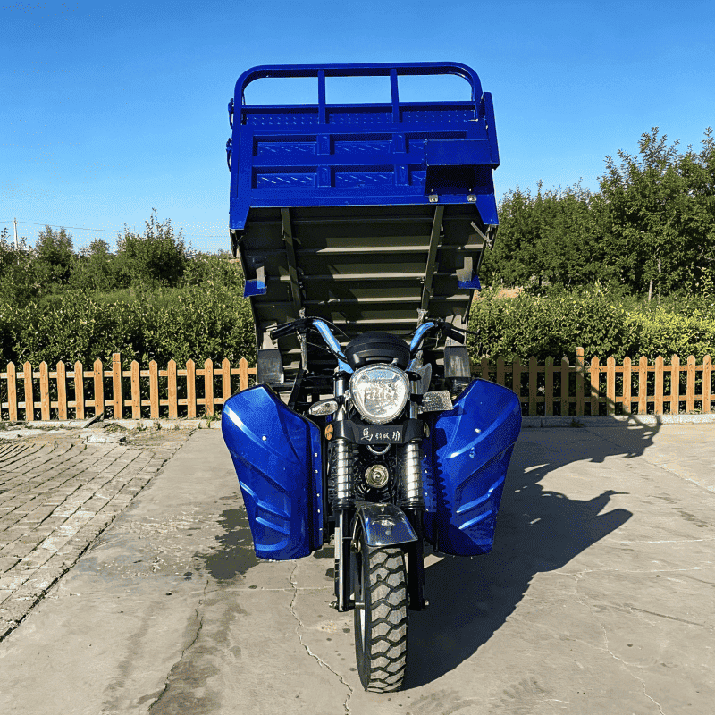3 wheel gasoline tricycle