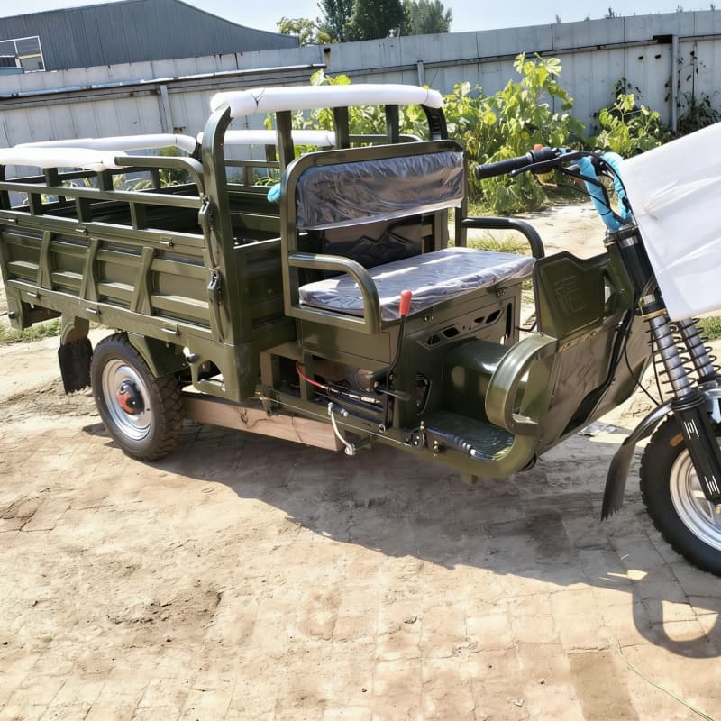 Cargo tricycle motorcycle truck