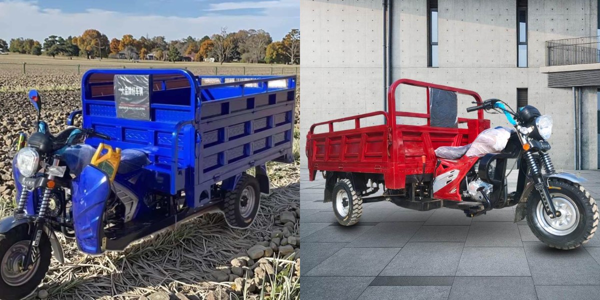 scooter cargo à 3 roues