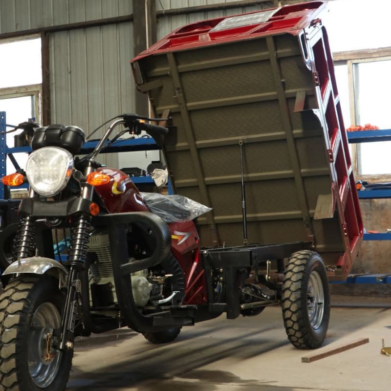 Adult tricycle cargo