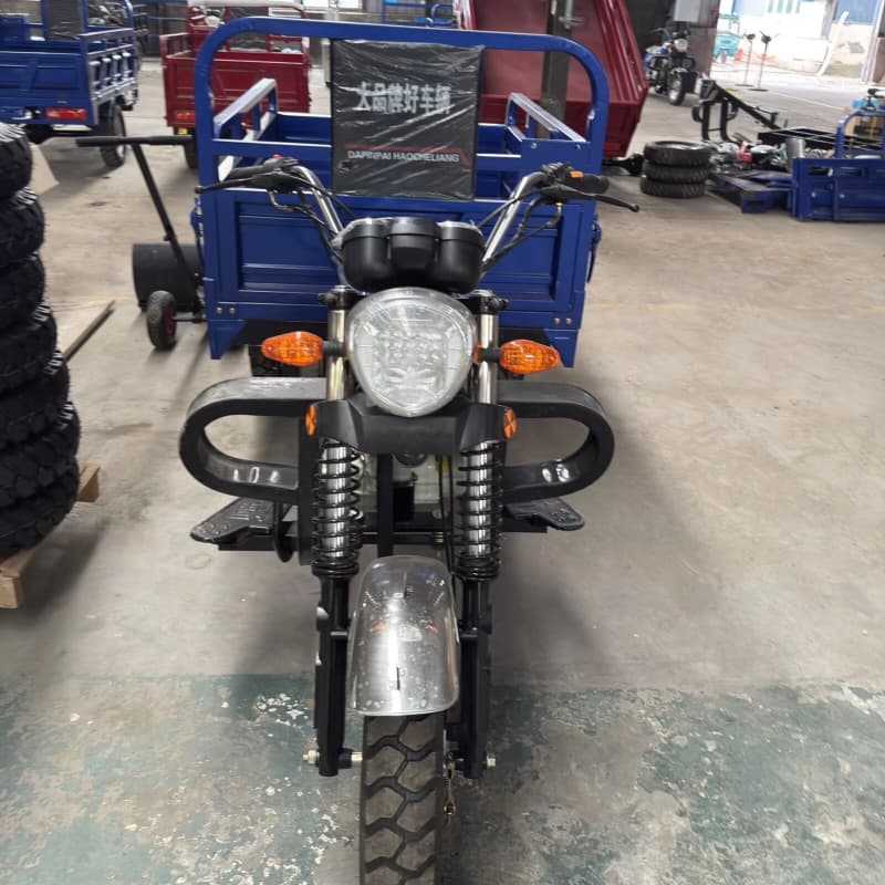 Adult tricycle cargo