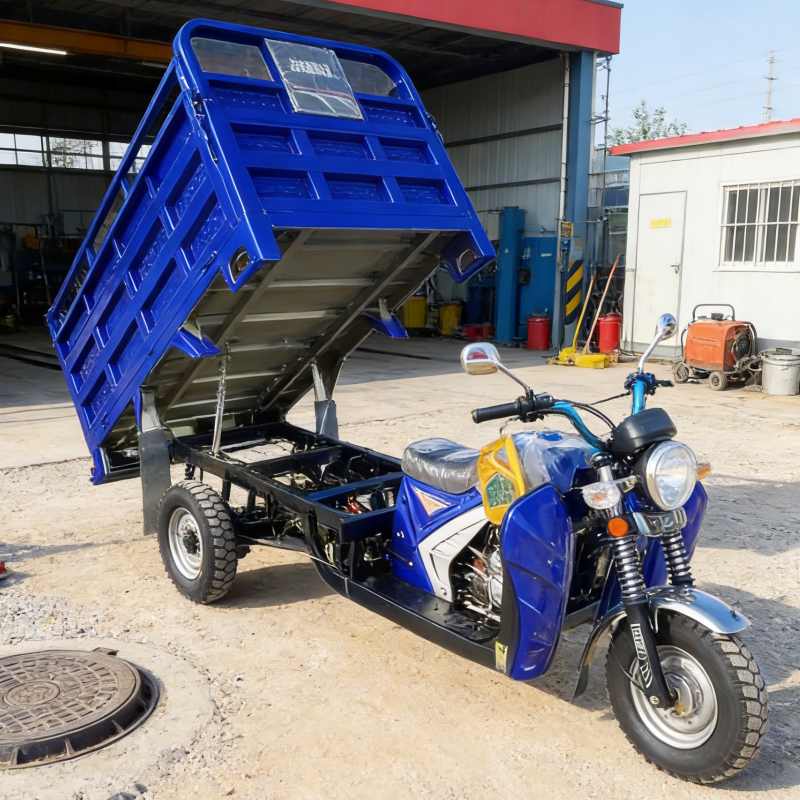 Triciclo per il carico merci