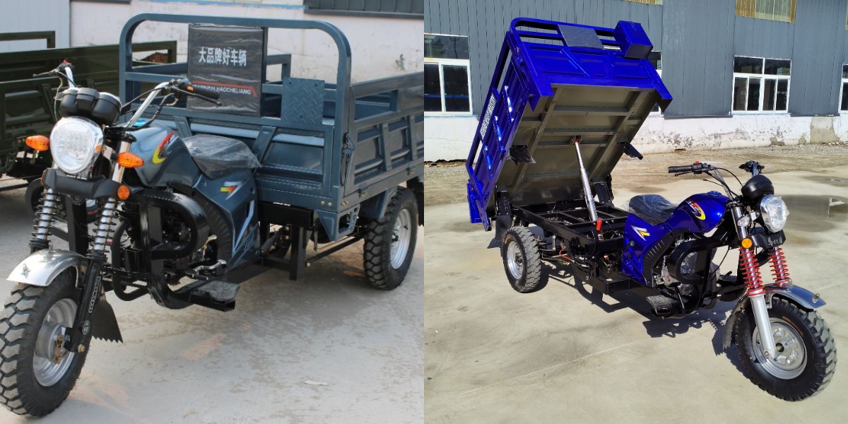 Short Haul Petrol Cargo Tricycle
