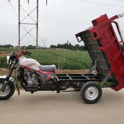 250cc gasoline tri wheel vehicle