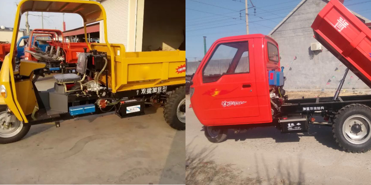 Sono disponibili vari tipi di carport