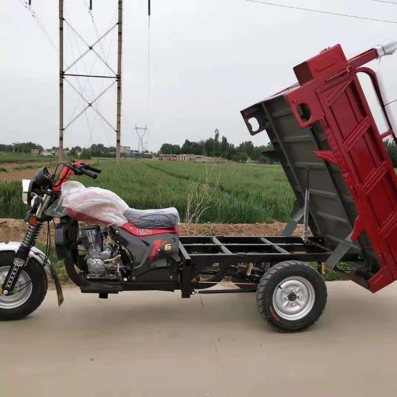 250cc gasoline tri wheel vehicle