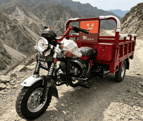 Hill Crop Petrol Dump Cargo Tricycle