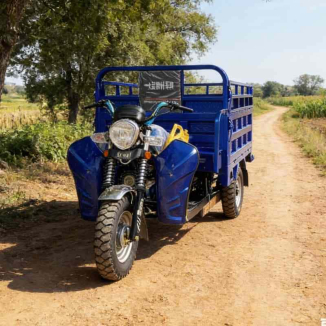 Triciclo a benzina da 250 cc