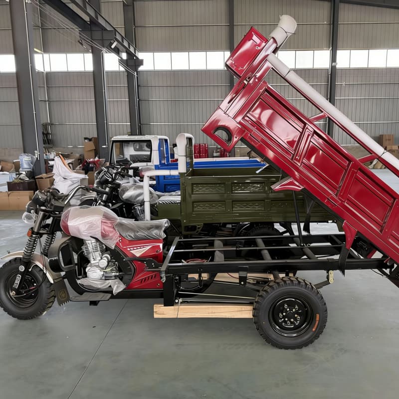 Gasoline cargo tricycle