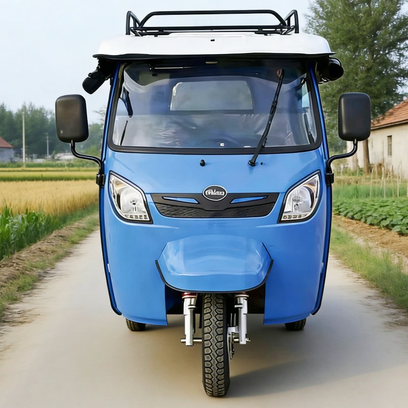 Пассажирская авторикша