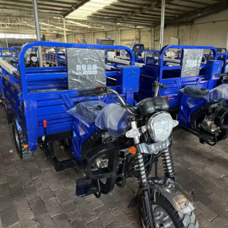 Cargo tricycle for adults