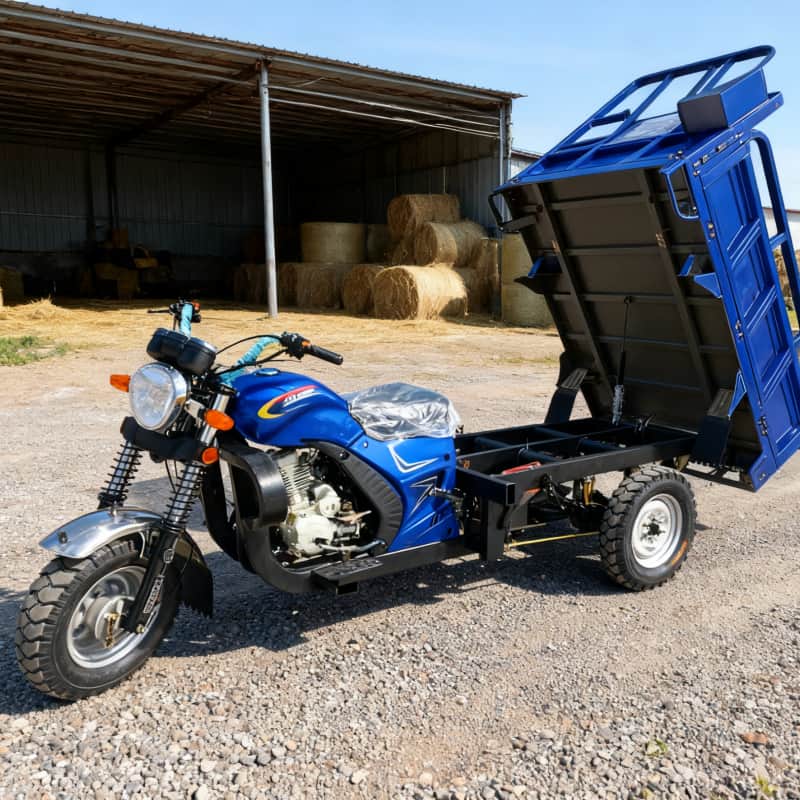 Dreiradmotorrad für Erwachsene