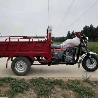 Gasoline 3 wheel motorcycle