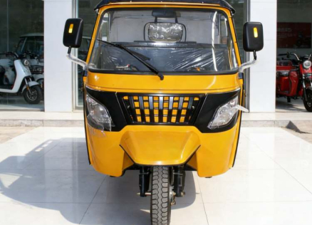 Worin besteht der Unterschied zwischen einer Autorikscha und einem Tempo?