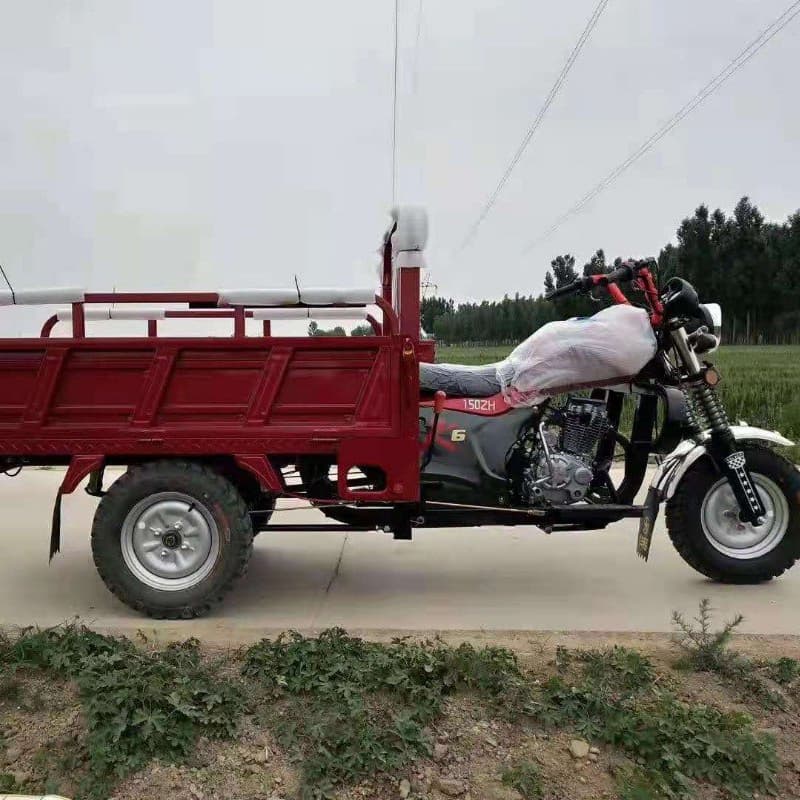 Gasoline 3 wheel motorcycle