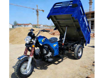 Triciclo de gasolina vs. triciclo eléctrico: ¿Cuál es mejor para los negocios?