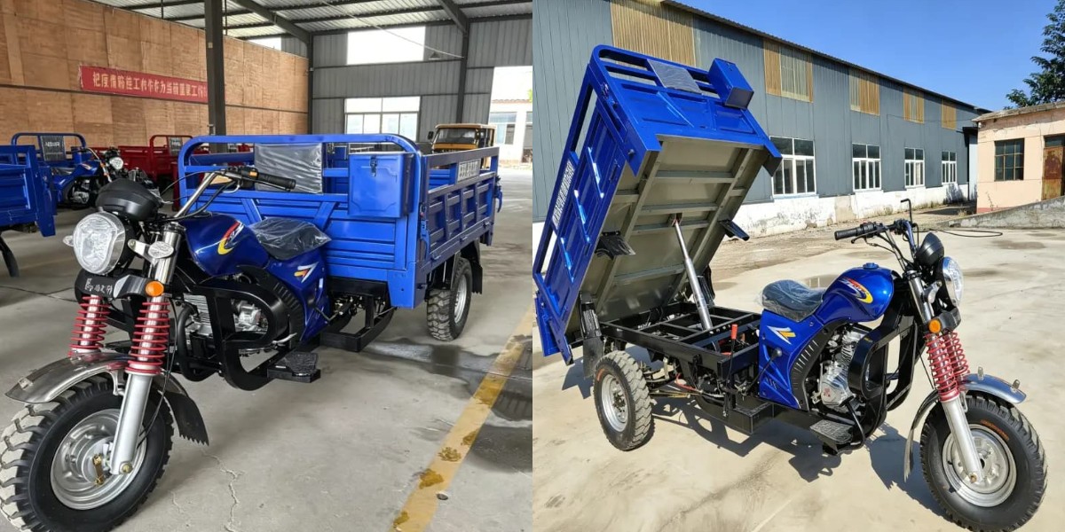 Gasoline cargo tricycle