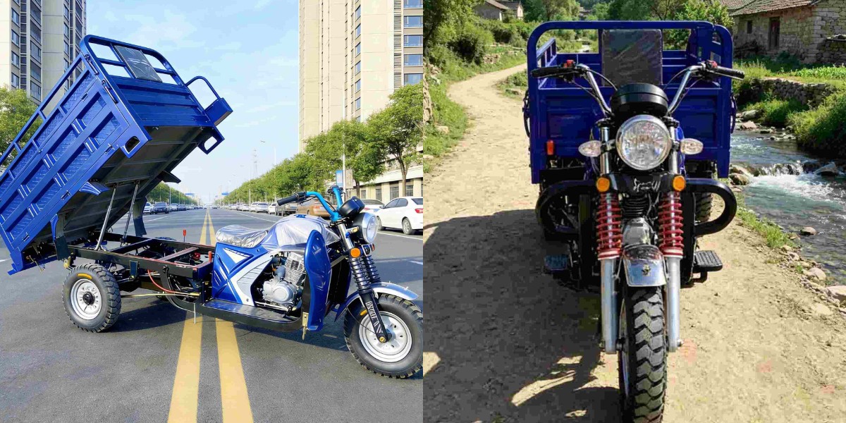 Triciclo a motore a 3 ruote