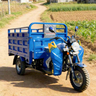 Agricultural gasoline cargo tricycle