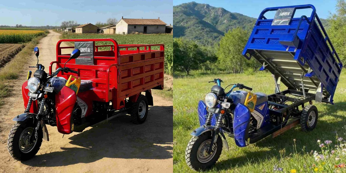 Triciclo a motore a 3 ruote
