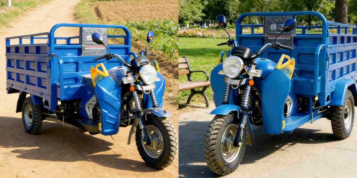 Benzinbetriebenes Lastendreirad für lange Strecken