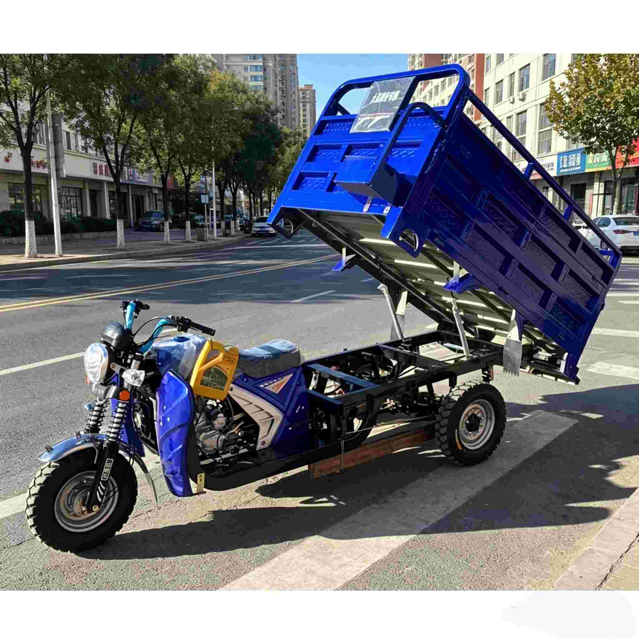 Triciclo motorizado a gasolina