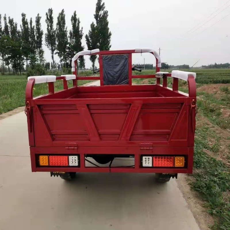 Cargo tricycle motorcycle