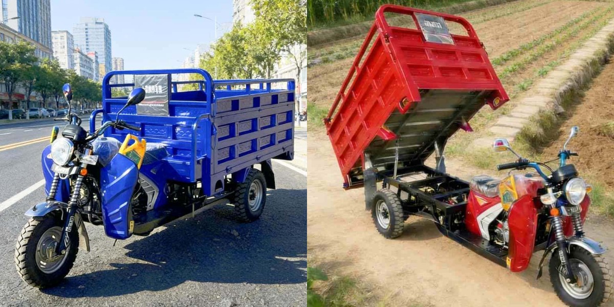 Farm use gasoline cargo tricycle Farm use gasoline cargo tricycle