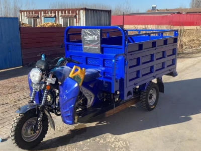 Seberapa Hemat Bahan Bakar Kendaraan Roda Tiga Berbahan Bakar Bensin 200cc?