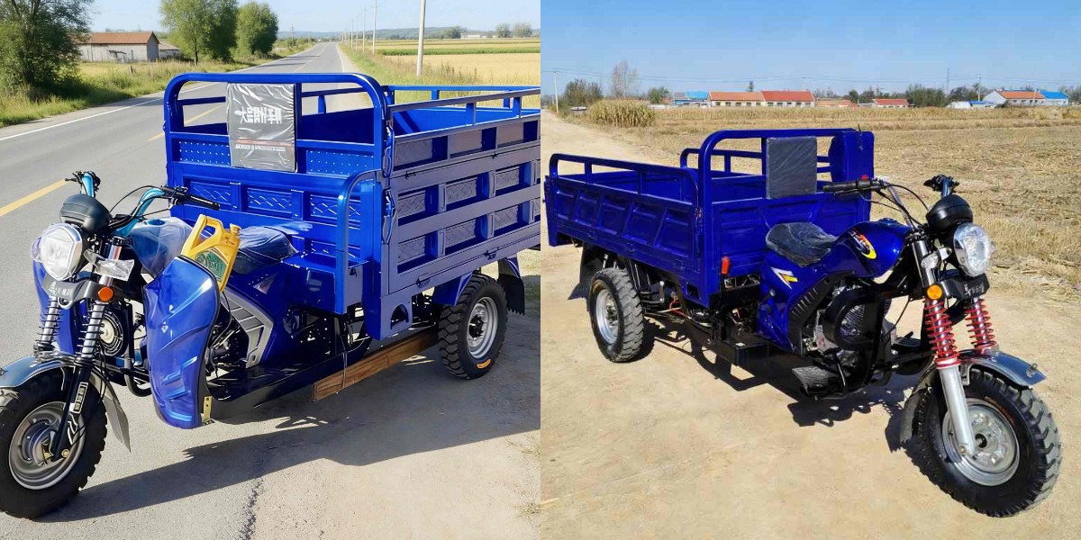 Benzinbetriebenes Lastendreirad für lange Strecken