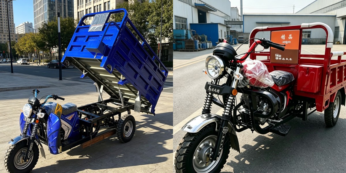 Gasoline cargo tricycle