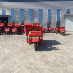 Véhicule diesel à 3 roues