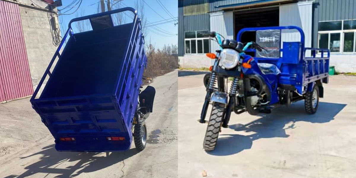 scooter cargo à 3 roues
