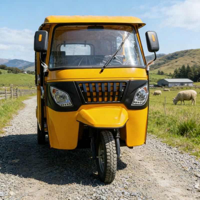 Pousse-pousse pour passagers