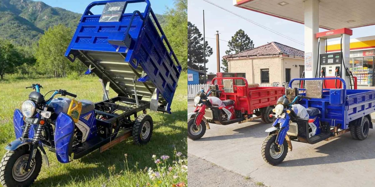 Triciclo de gas para transporte agrícola Triciclo de gas para transporte agrícola