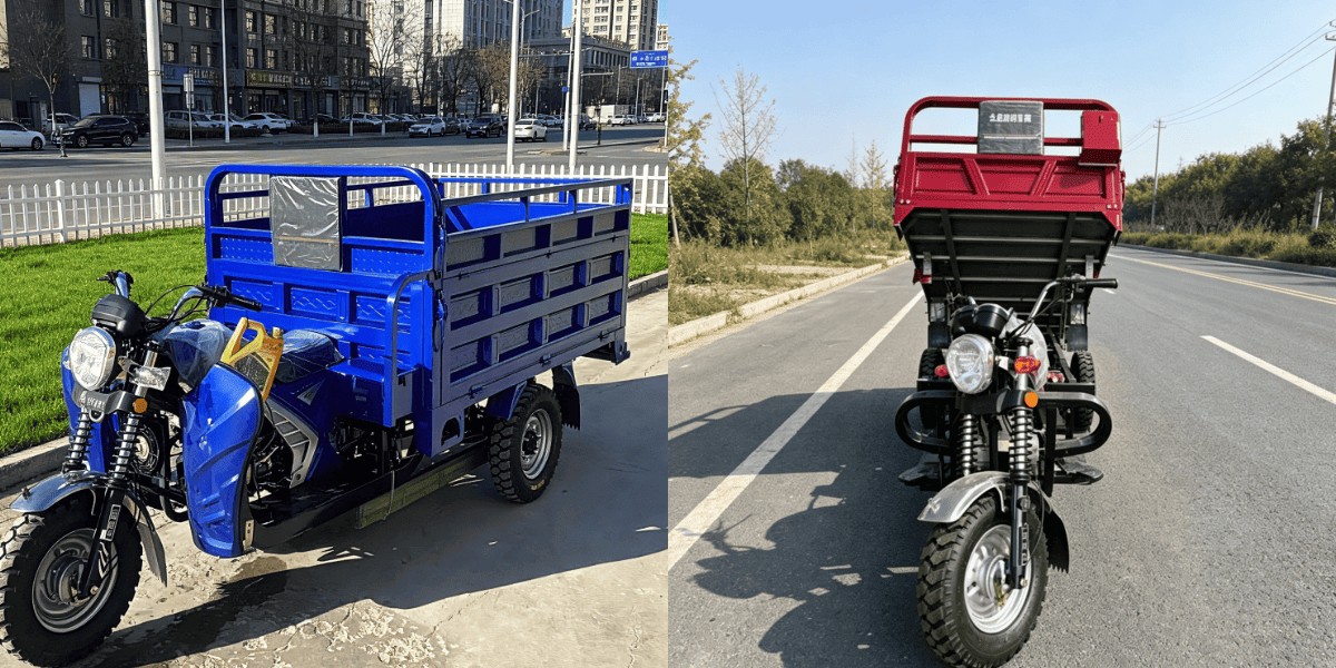 Short Haul Petrol Cargo Tricycle