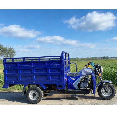 Бензиновый трёхколёсный велосипед объёмом 250 куб. см