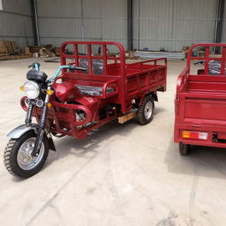 Gas powered trikes for adults