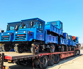 Kendaraan Angkut Roda Empat Diesel untuk Ghana: Siap Dikirim dengan Pemuatan di Lokasi – Dirancang untuk Pertanian Pedesaan