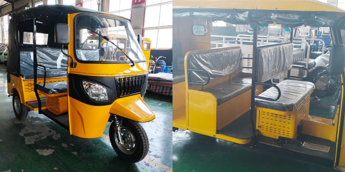 3 wheeler cng auto