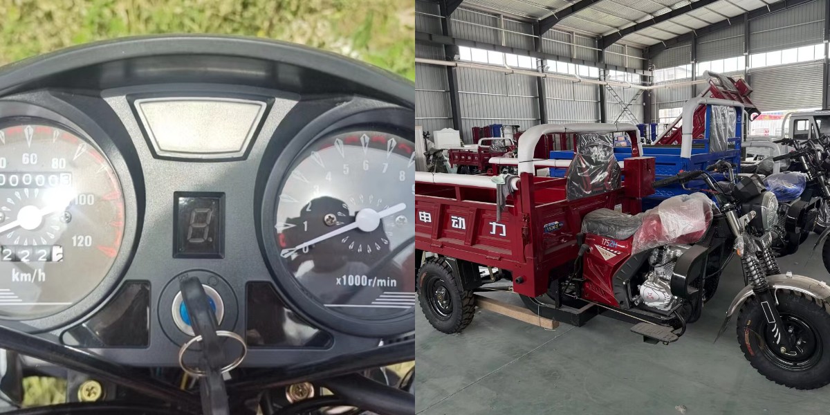 Professional details Professional details