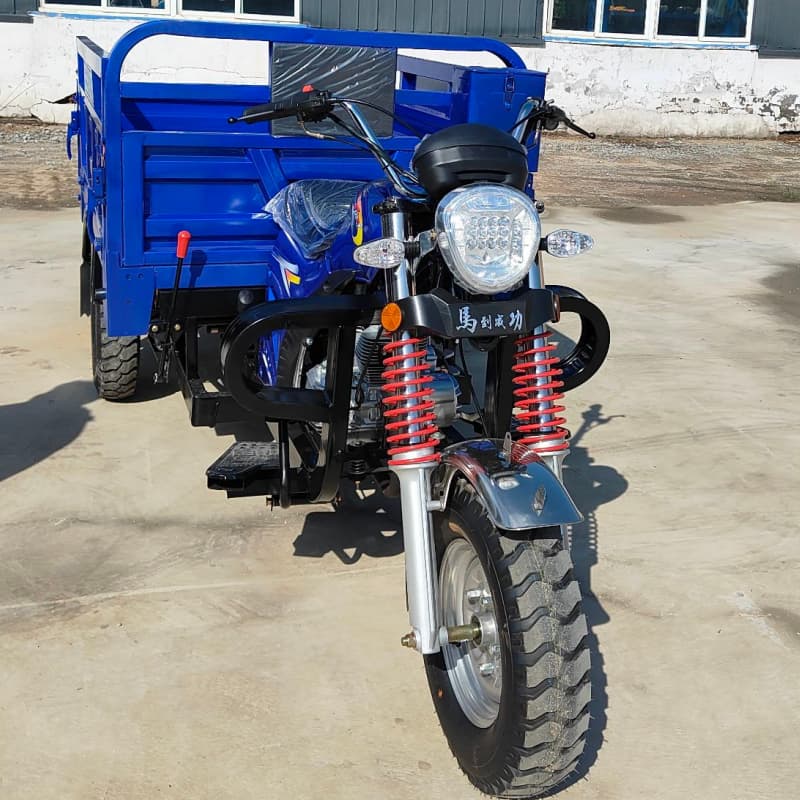 Adult tricycle motorcycle