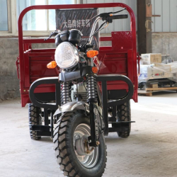 Tricycle à moteur cargo