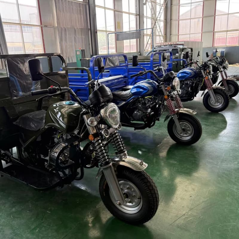 Transport tricycle for adults