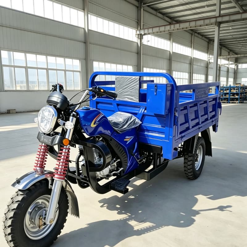 Petrol cargo trike