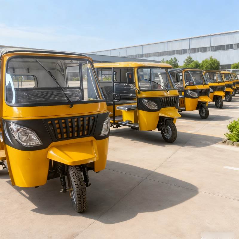 pousse-pousse électrique à trois roues