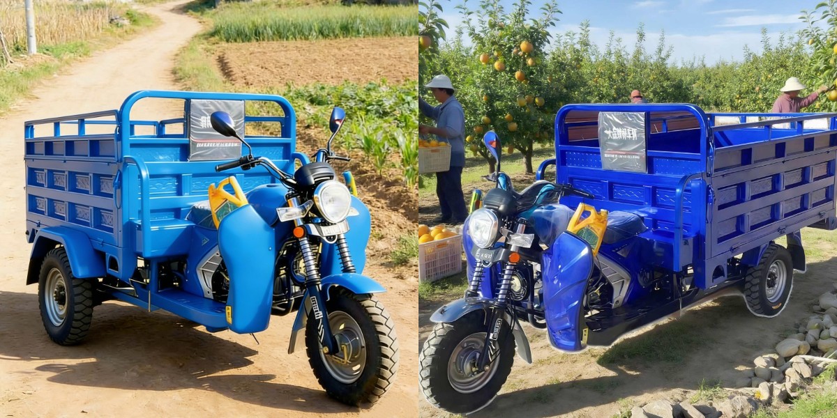 Benzinbetriebenes Lastendreirad für lange Strecken